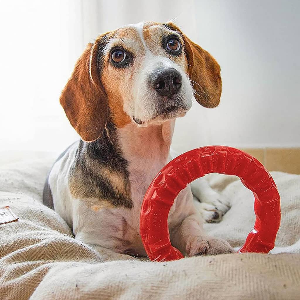 Ferplast Kauwspeeltje Voor Honden Smile Large